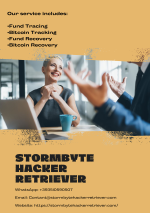 Stormbyte Hacker Retriever 2.png.PNG