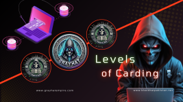 Levels of Carding 2025  (2).png