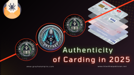 Authenticity of Carding in 2025.png