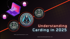Understanding Carding in 2025.png