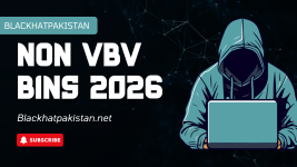Non Vbv bins 2026.png